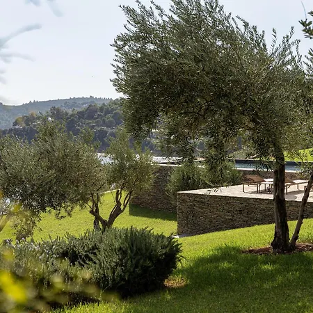 Pelagoon * העיירה סקיאתוס